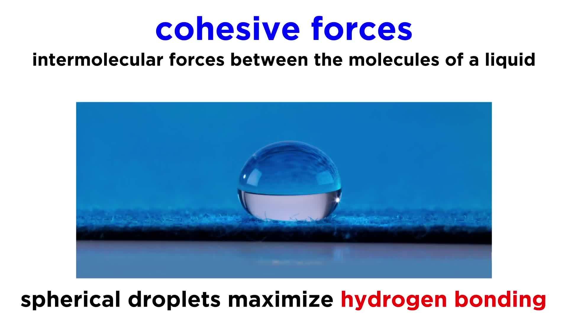 Viscosity, Cohesive and Adhesive Forces, Surface Tension, and Capillary